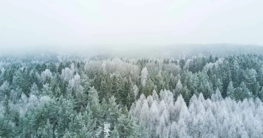 Canadas lowest recorded temperature is even less than that of Mars